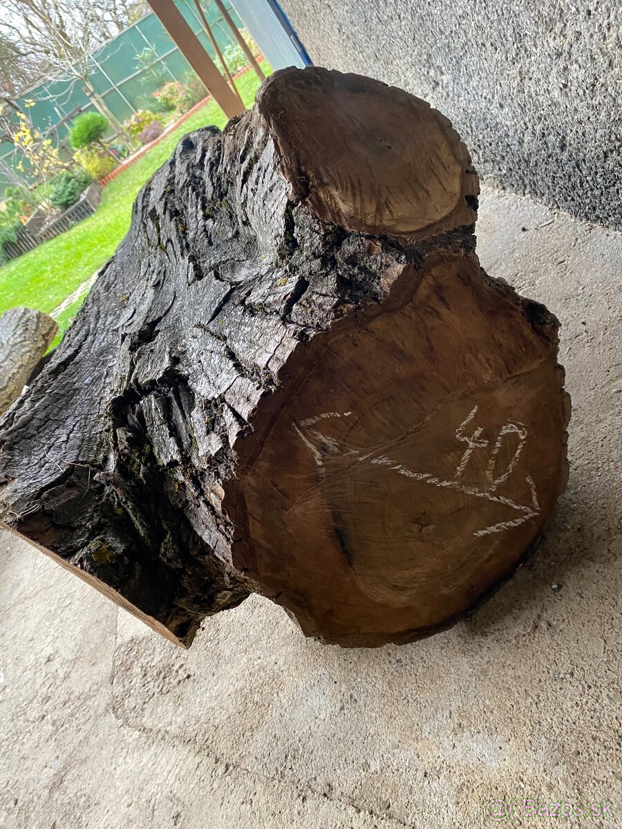 Orechové kmene, guľatina - 10