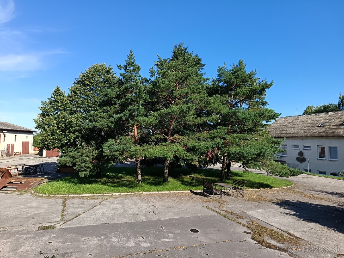 Na predaj výrobno-prevádzkový areál v Plaveckom Petre - 10