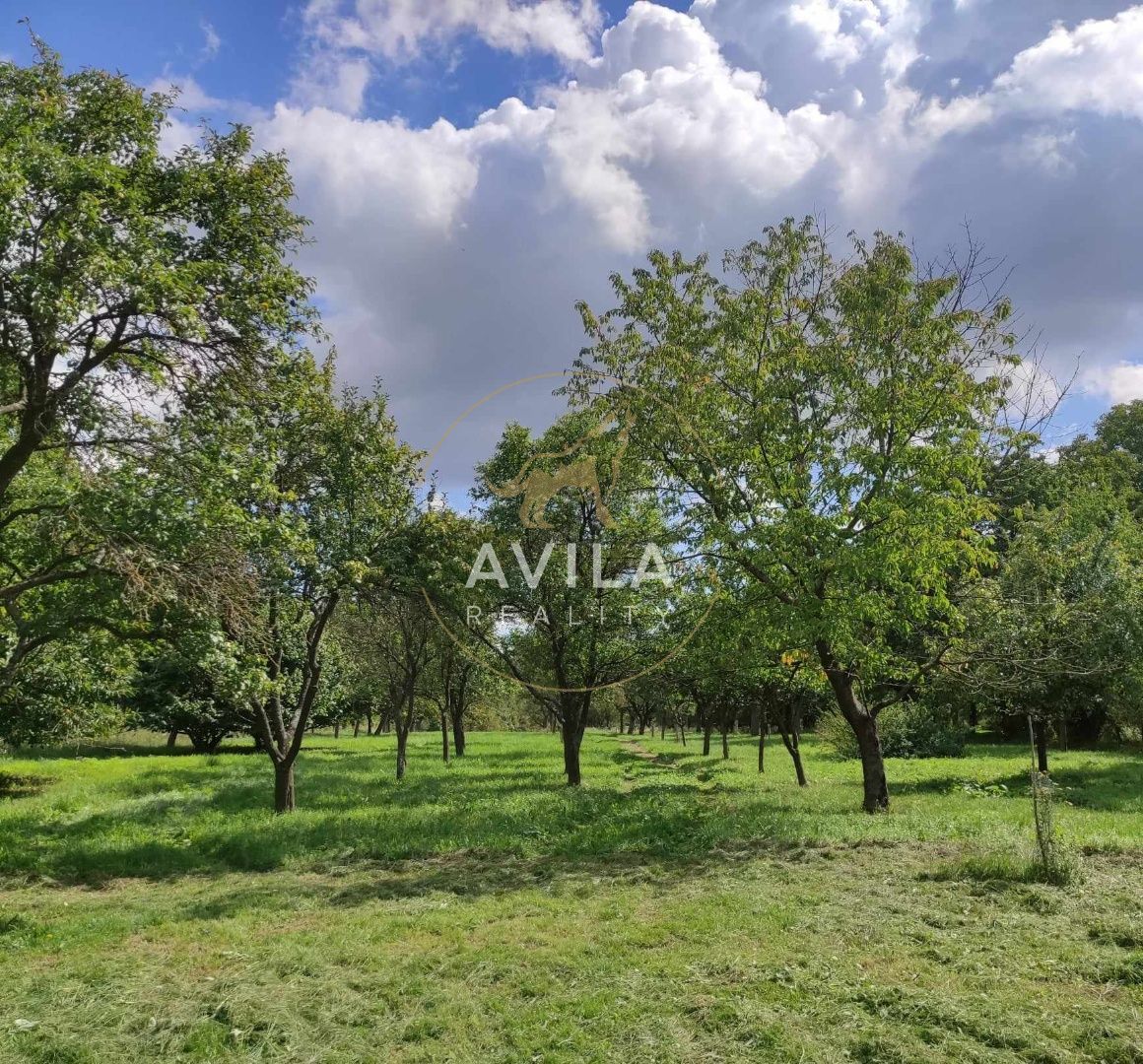 PREDAJ: rekreačný pozemok 6116m2 s chalupou-Prašník - 10