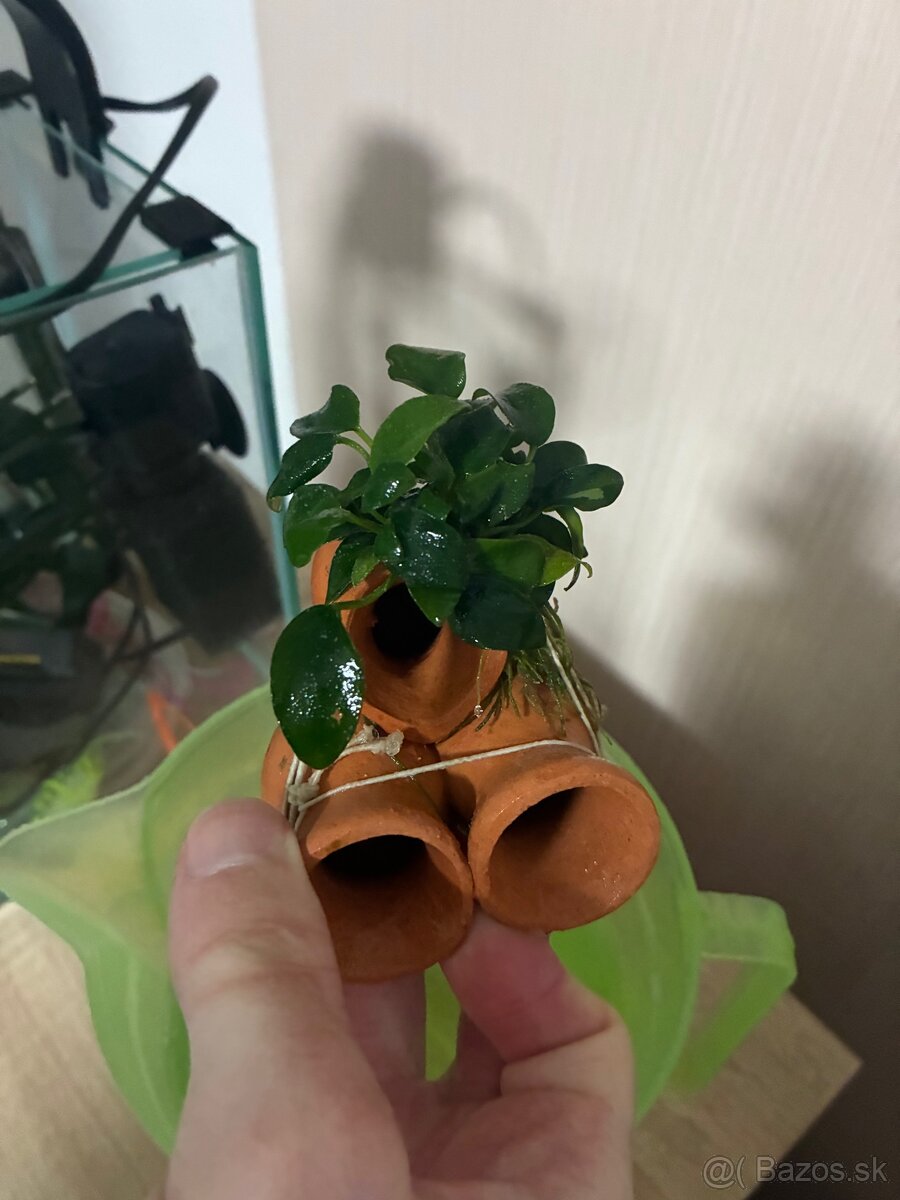 Akvarium AGNAEL 10l - 10