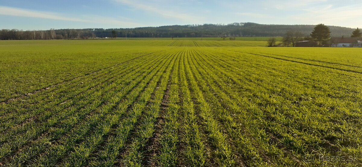 Mzuri ProTill 4T secí stroj- (pásové zpracování půdy) - 10