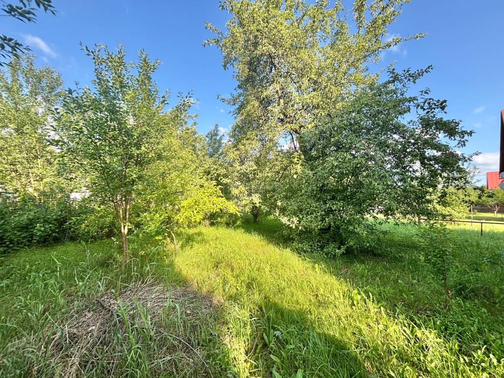 Predaj pôvodného rodinného domu v Olešnej - 10