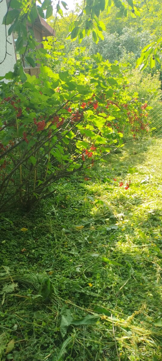 Chatka so záhradou - 10