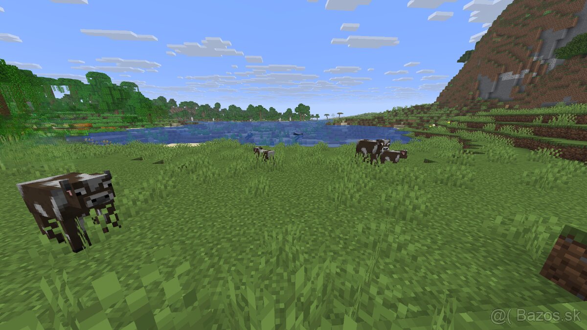 Predam Kockatu Kravu - 10