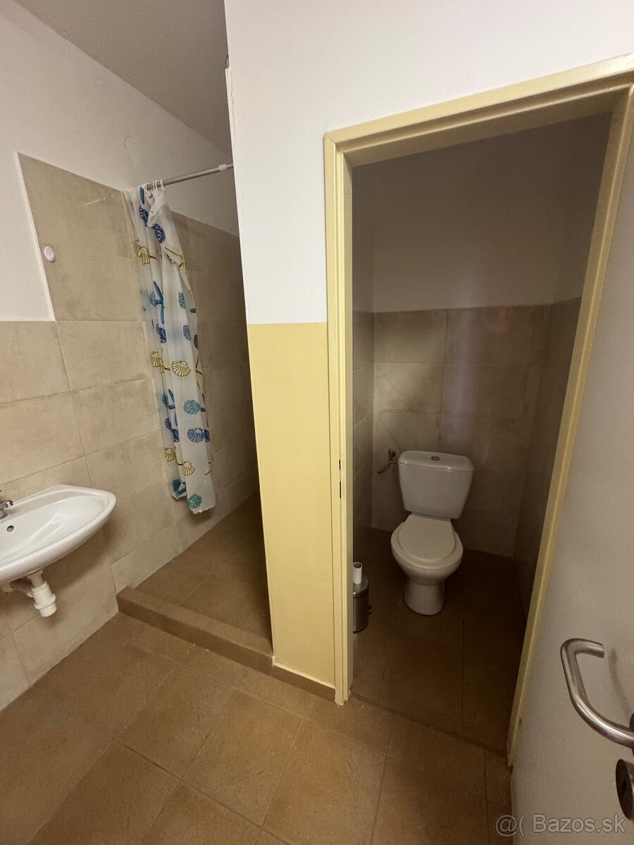 Multifunkčná hala na výrobu, sklad, kancelárie a parkovanie. - 10