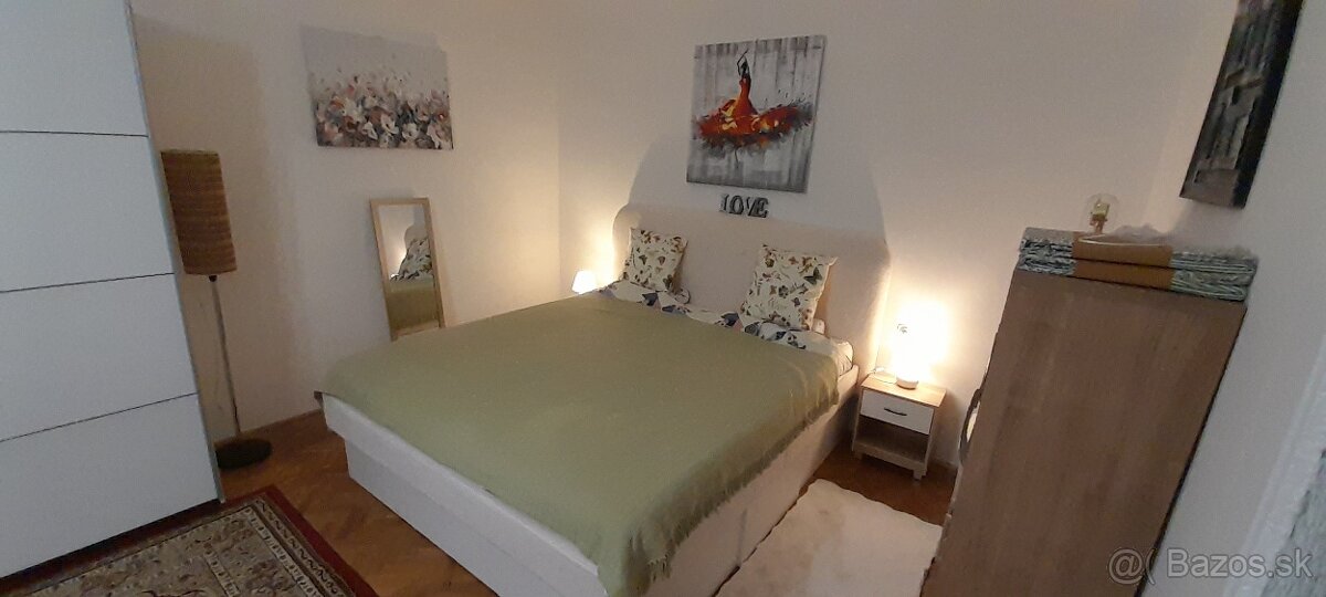 Prenájom 1.5 izbovy byt Malá Praha 2 - 10