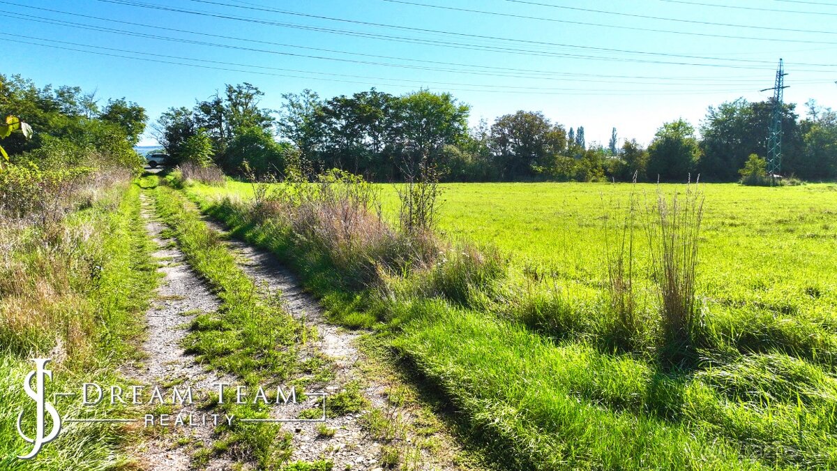 18 500m2 pozemok pre výstavbu rodinných domov, Leopoldov - 10
