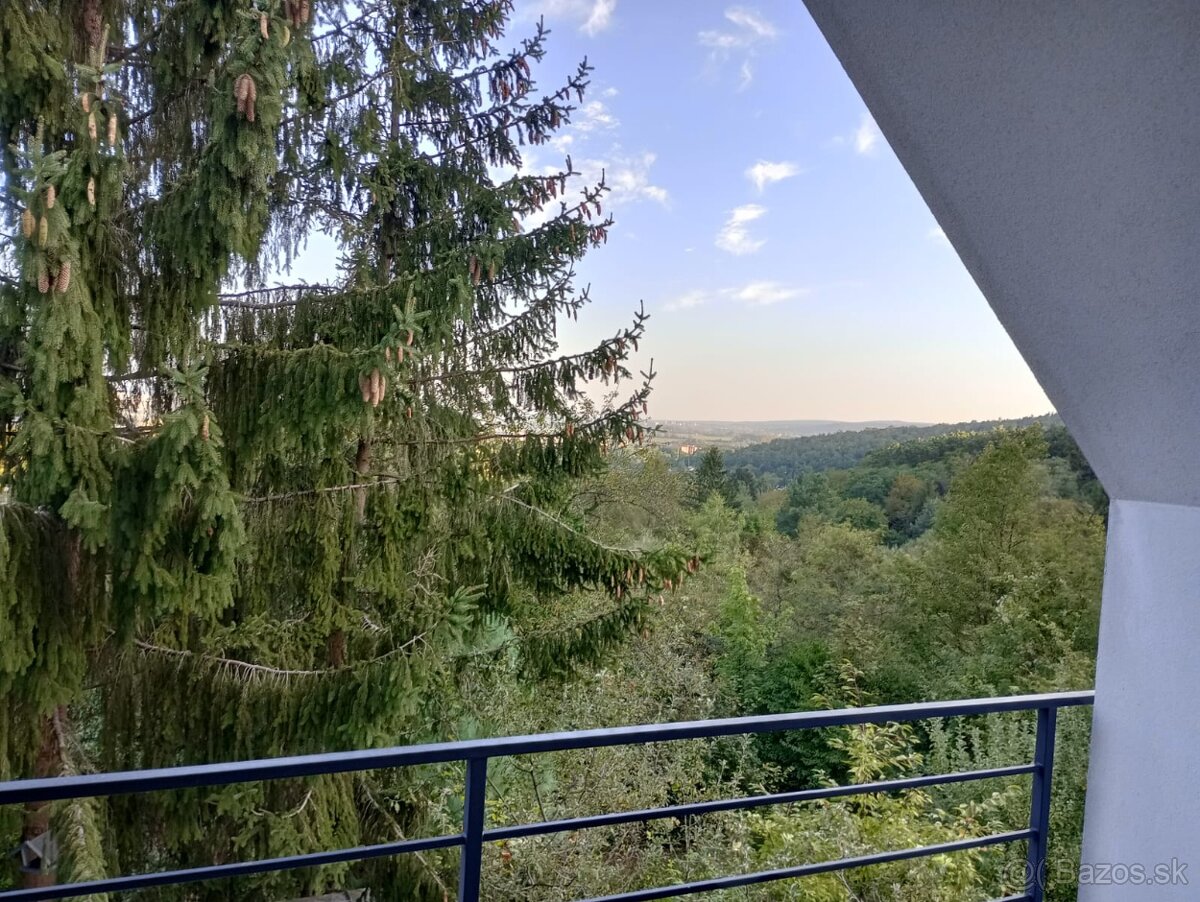 Prenajmem izbu v novom rodinnom dome pri lese v BA Dubravke - 10