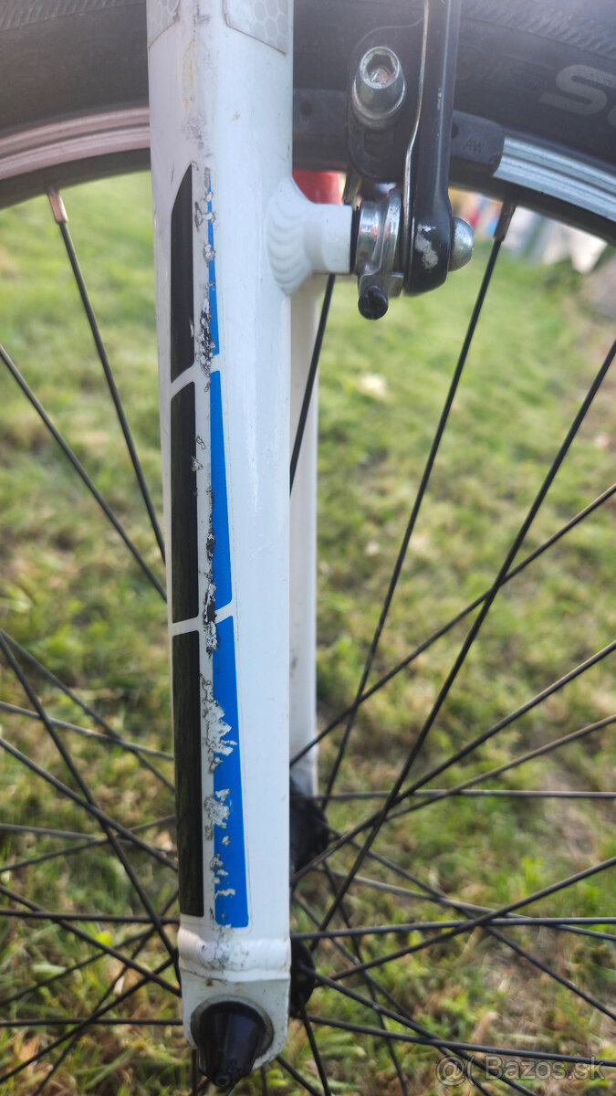 ORBEA MX 24 TEAM - 10