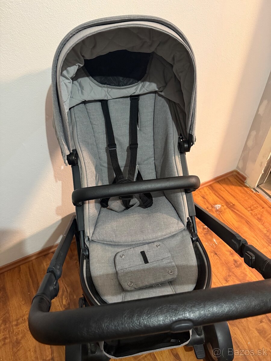 Surodenecky kocik Nuna - 10