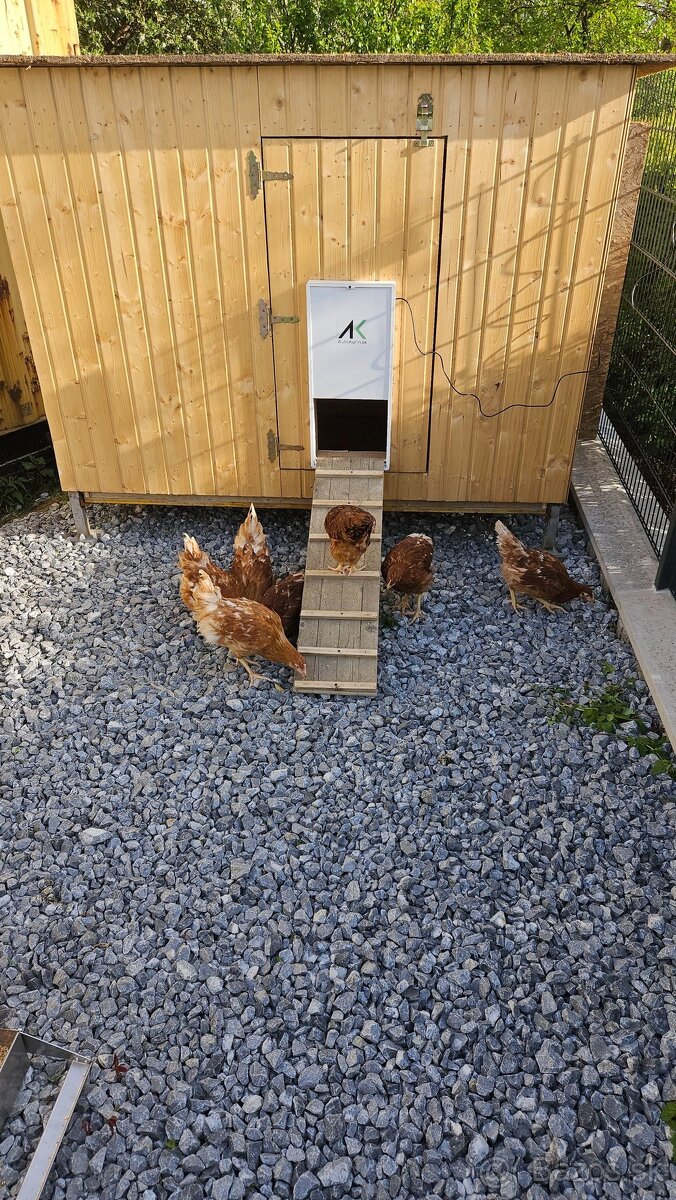 Slovenské automatické dvierka na kurín - 10