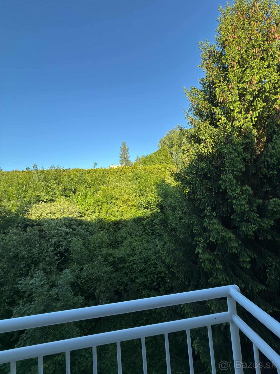 Na predaj krásny 3 izbový byt v Trenčianskych Tepliciach - 10