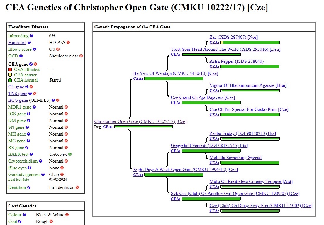 Šteňatá s PP - Border kólia / kolia - již k odběru - 10