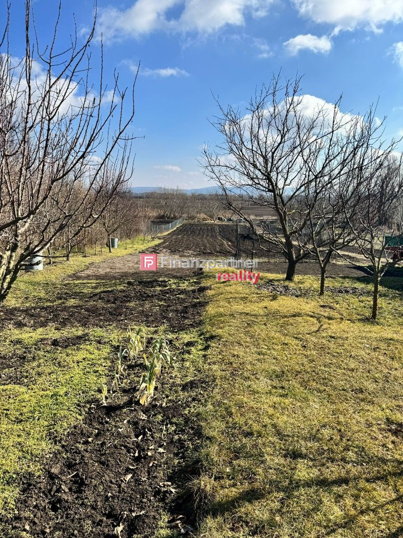 Štýlový vidiecky dom na predaj 14km od mesta Piešťany - 10
