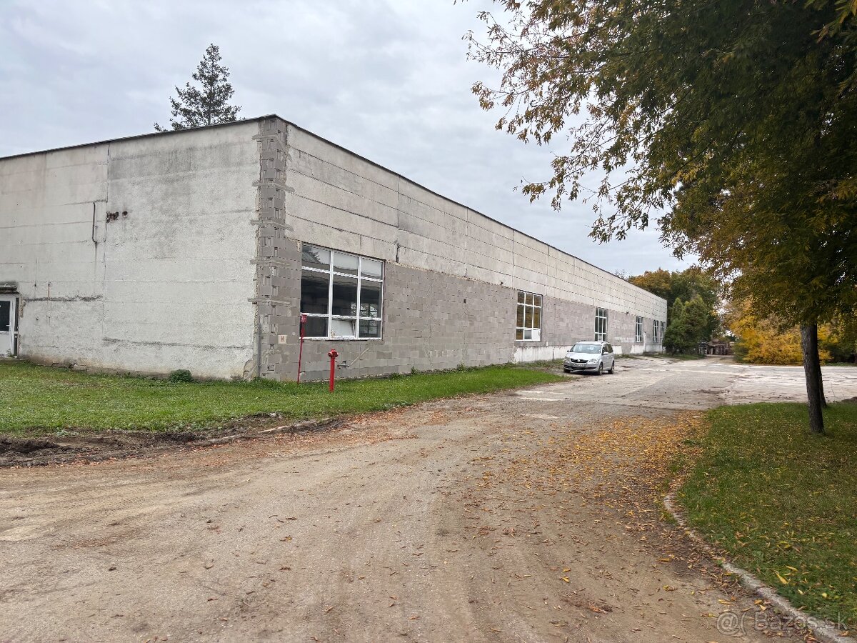 Haly na prenájom - 10