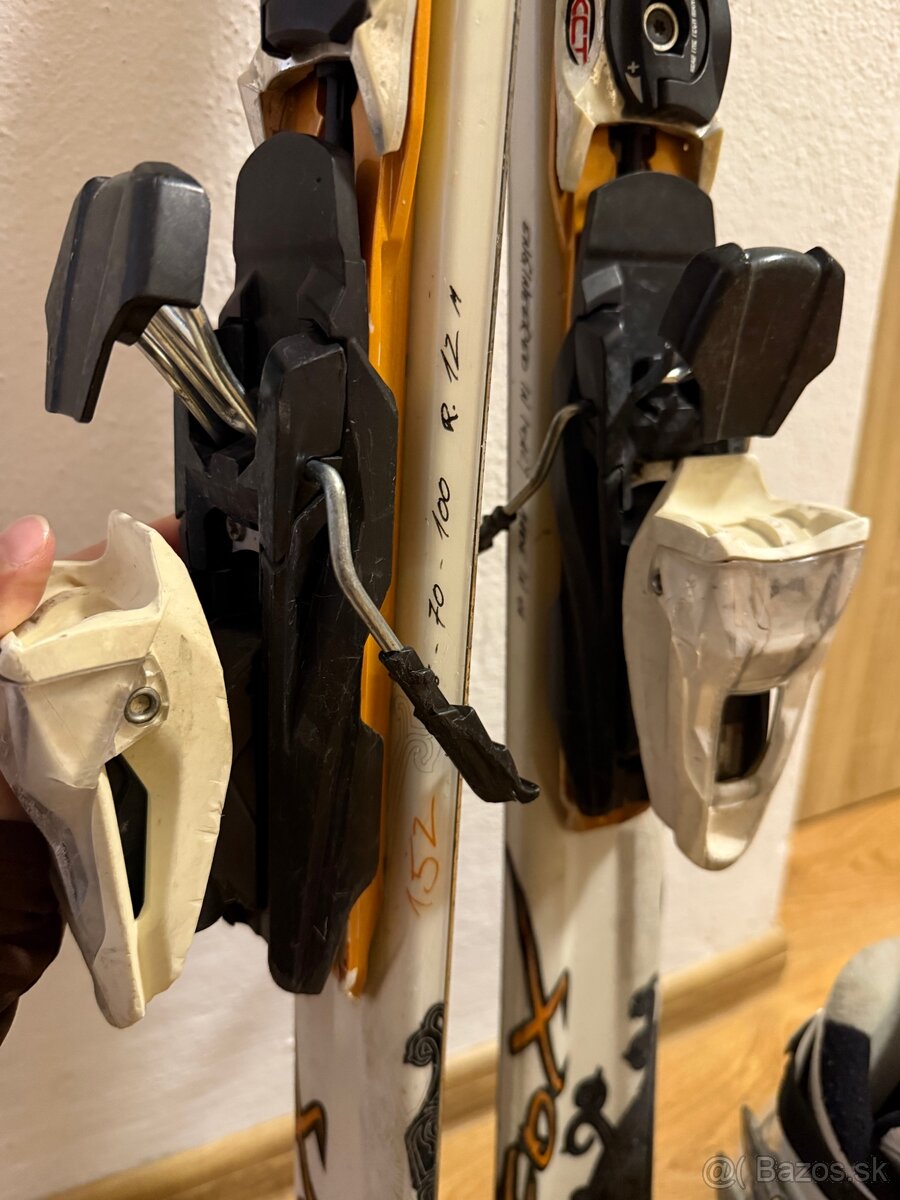 Lyže, lyžiarky, palice - 10