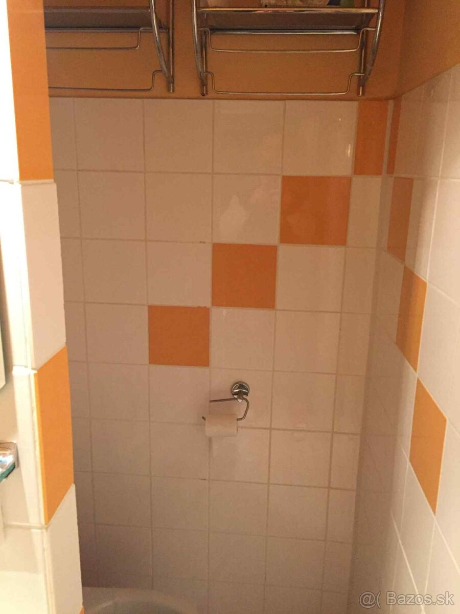 PRENAJOM 1-IZBOVÝ BYT - 10