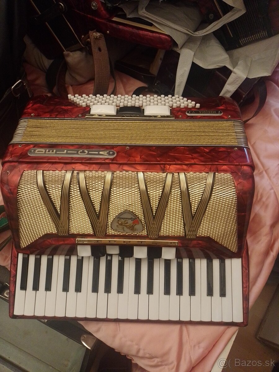 Harmonika akordeón - 10