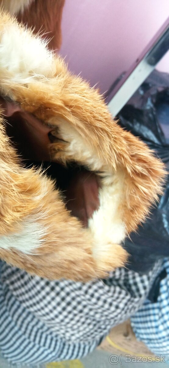 Predam krasny líščí kožuch - 10