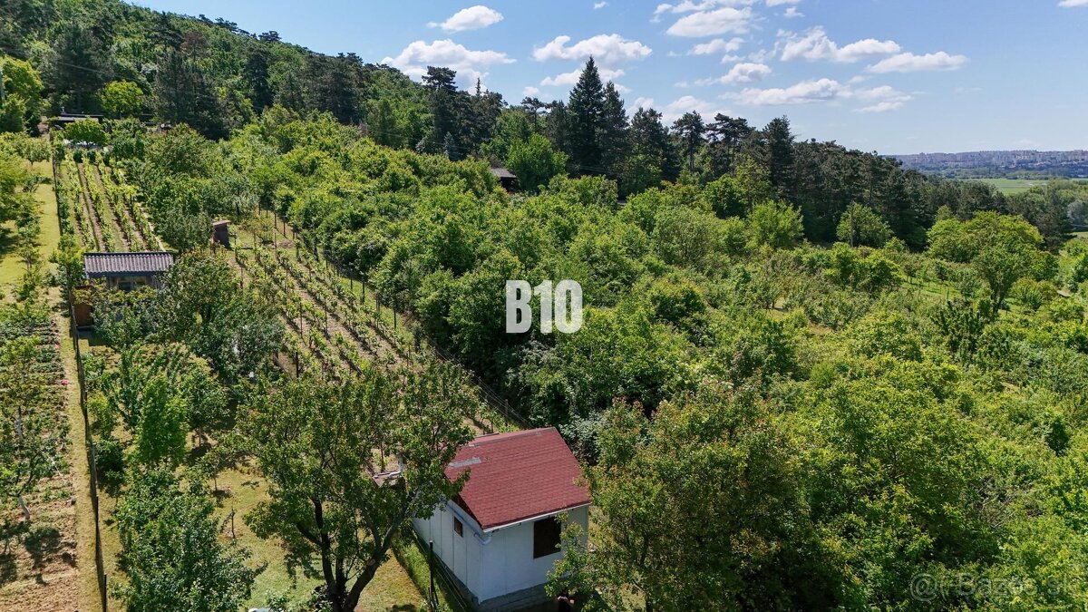 Vinica na skok od Nitry + chata - 590 m2 - 10