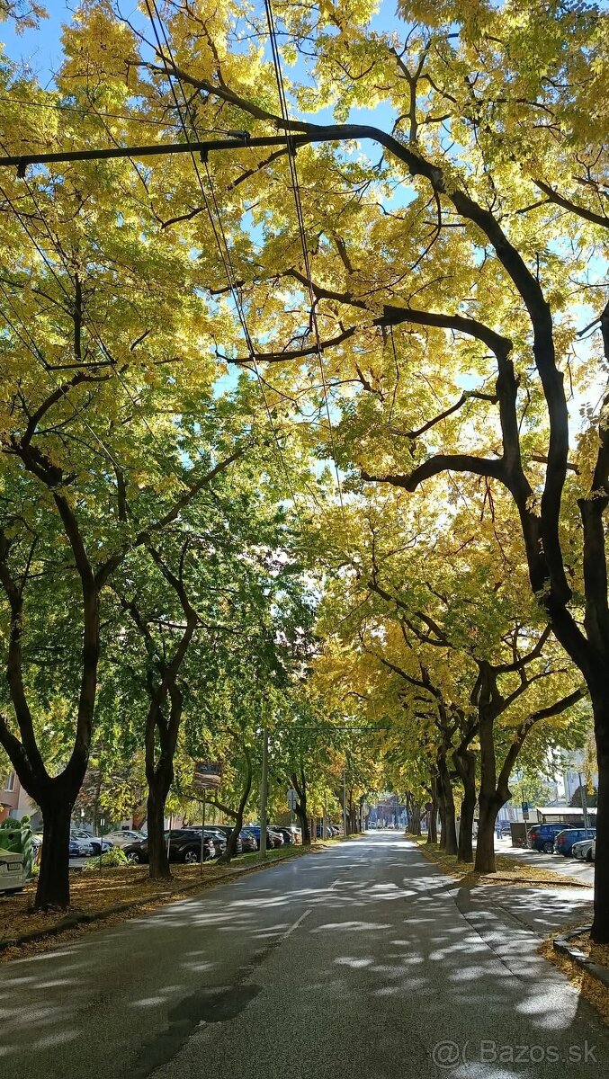 Predaj 4 izb. byt na Jégeho ul. - 10