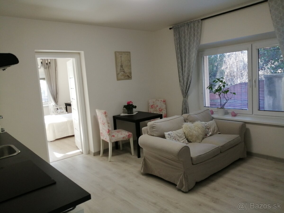 1 izbový byt v dome, okraj centra BA 1 (River Park, PKO) - 10