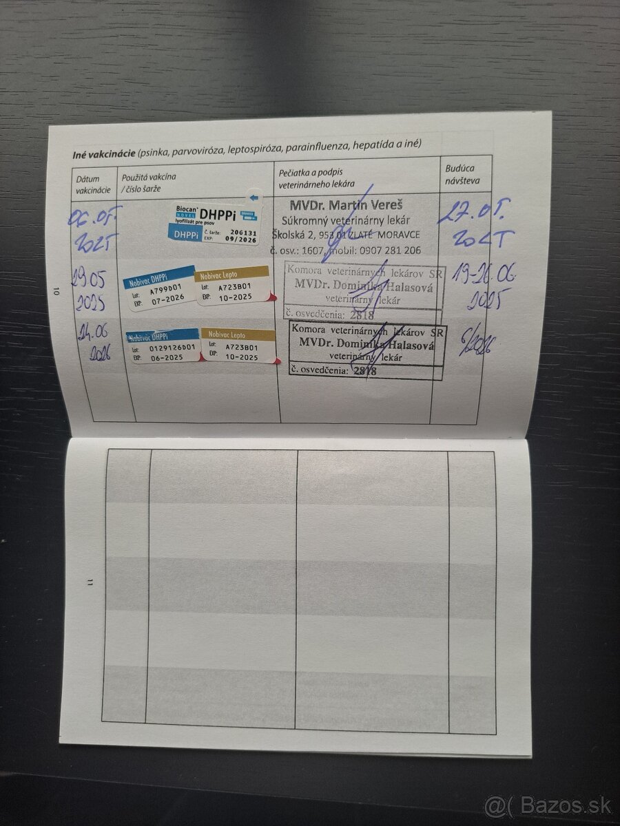 Rotvajler, rottweiler - 10