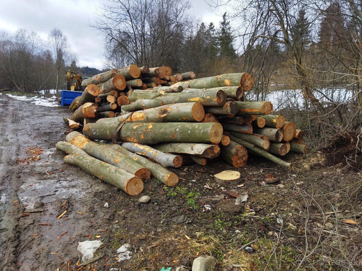 BUKOVÉ A SMREKOVÉ PALIVOVÉ DREVO - 10