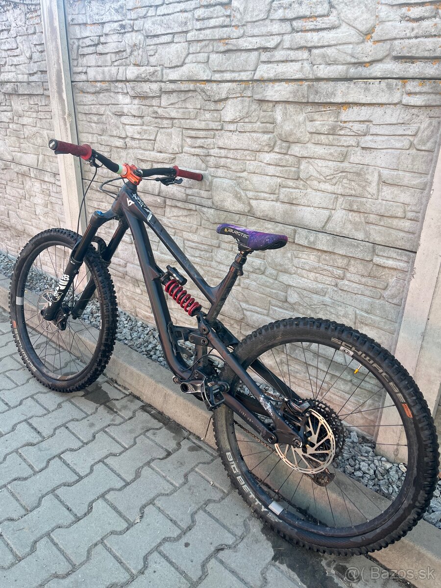 Predam YT capra 2023 - 10