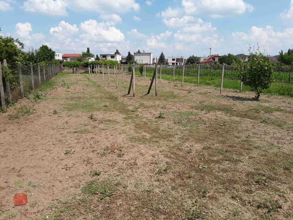 Rodinný dom, predaj, Veľký Kýr - 10