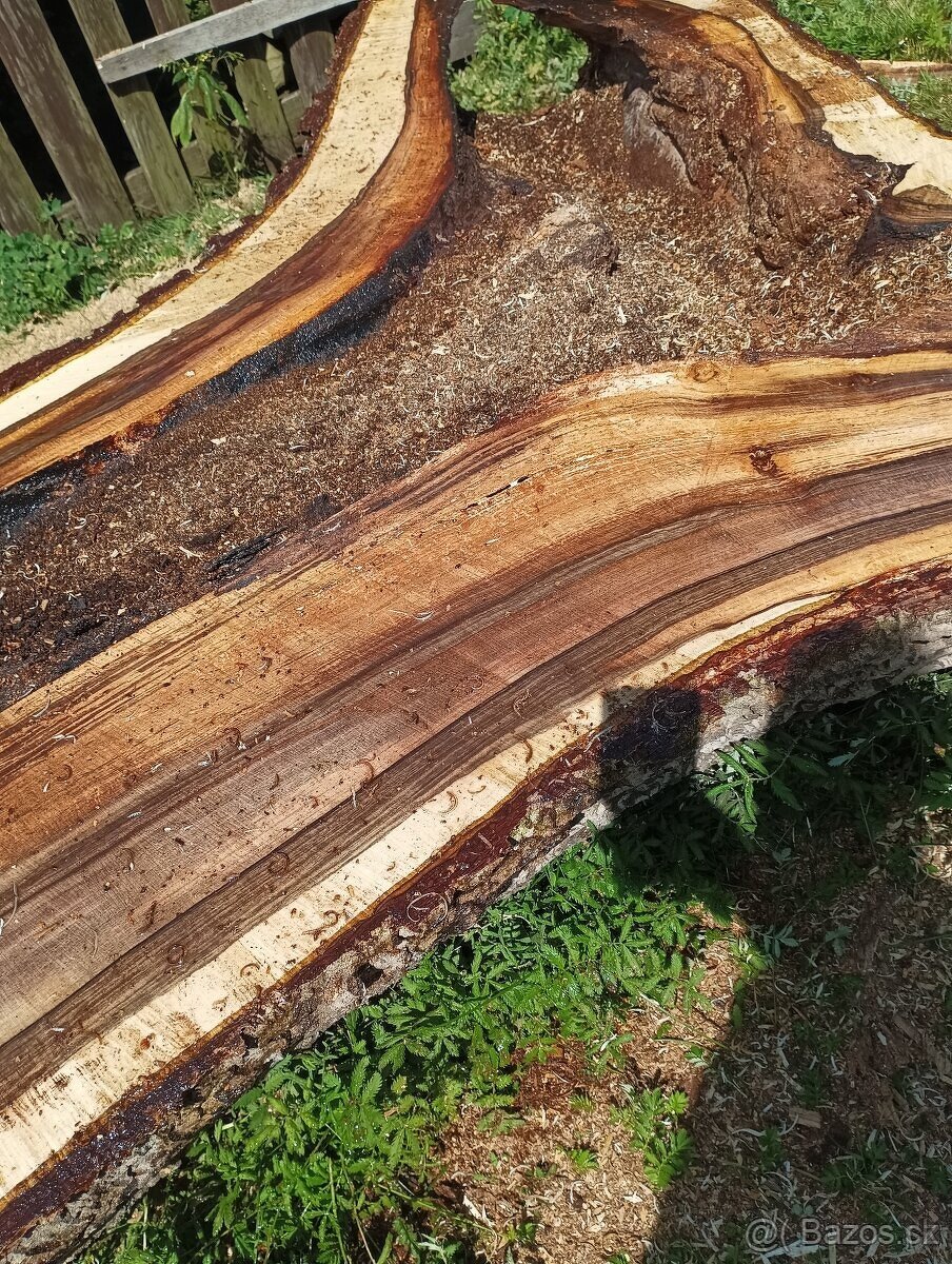 Orechove fosne, hrúbka 84mm - 10