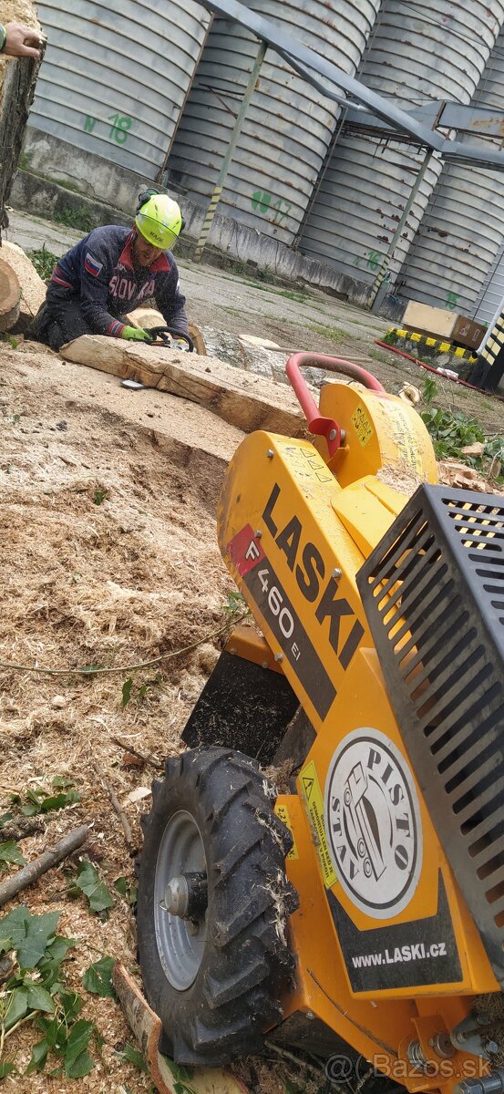 Frézovanie pňov, odstránenie pňov po výrube, arboristika - 10