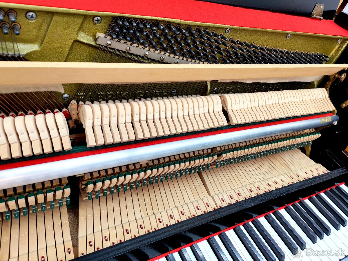 Najvyššia kvalita Renner dovoz celá SR - 10