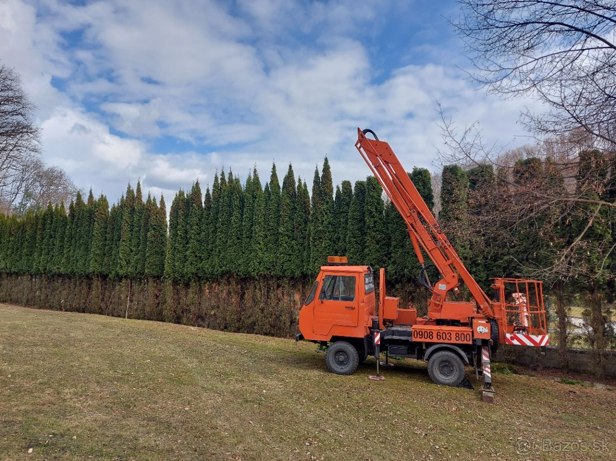 Pílenie a Orezávanie stromov - 10