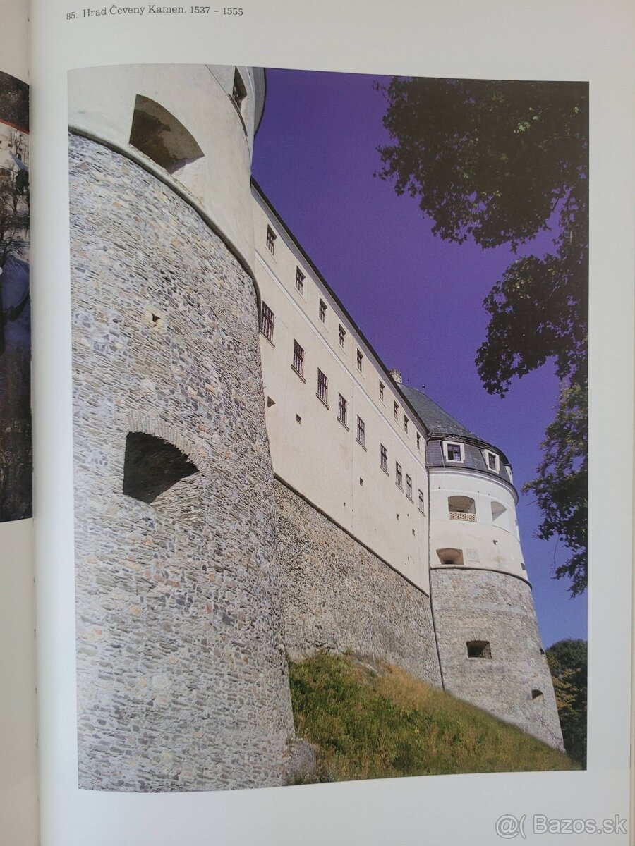 Renesancia Ivan Rusina RARITKA - 10