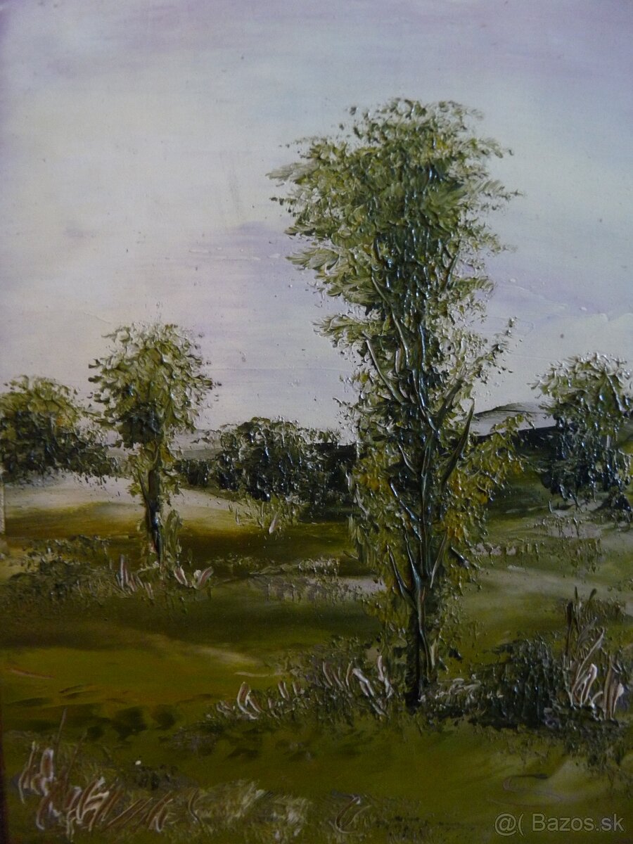 Obrazy moderne aj staro6itné - 10