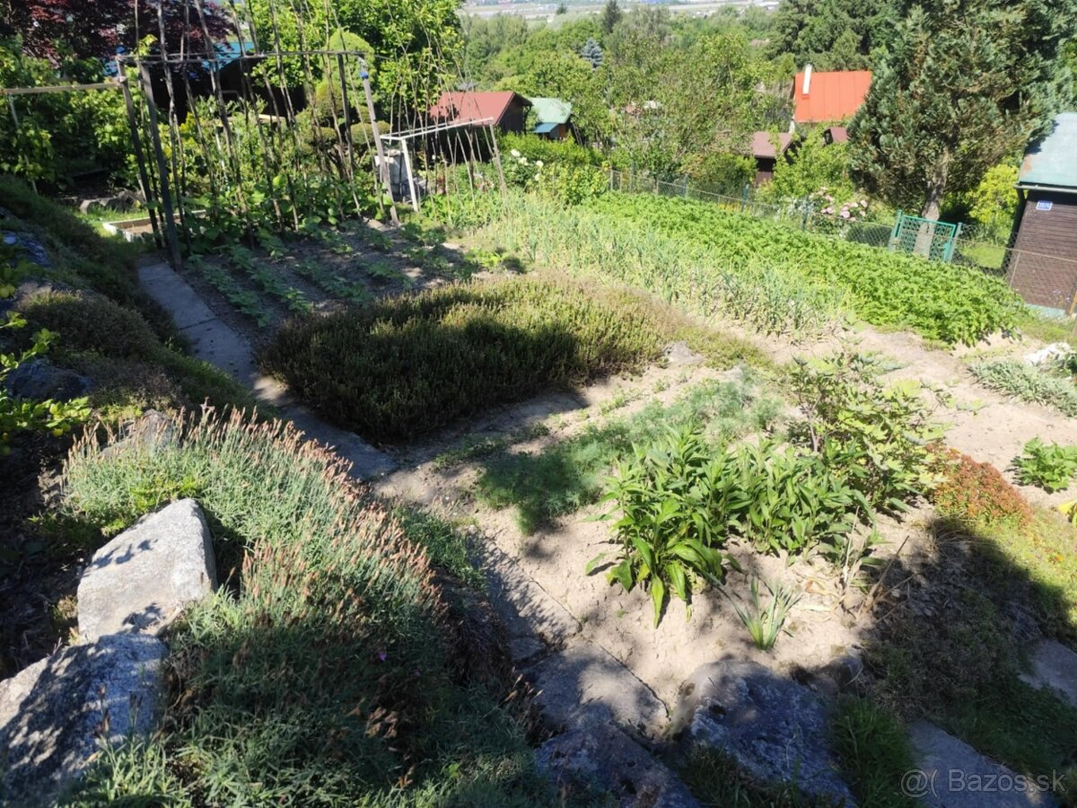 Predám záhradku s chatkou – Mojšová Lúčka I, Žilina - 10