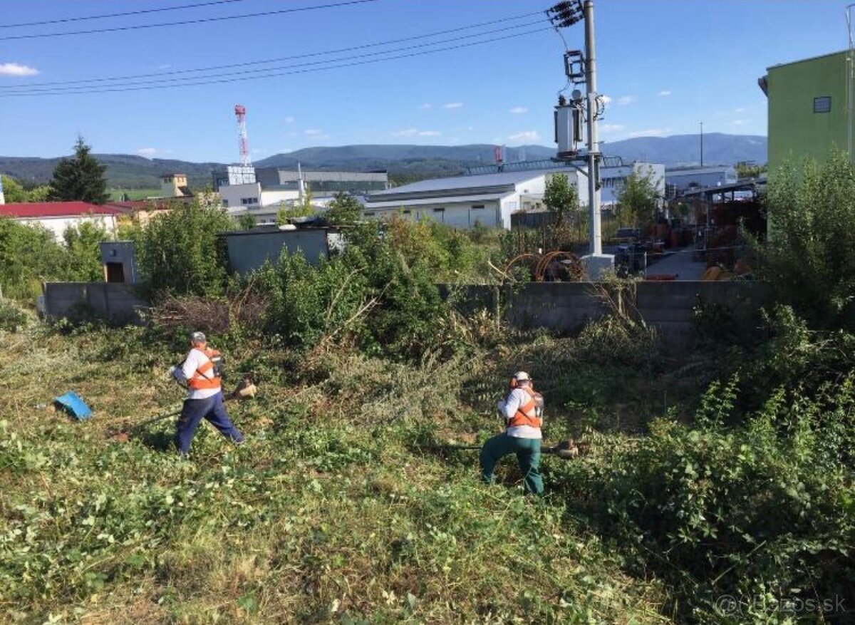 Kosenie-mulčovanie pozemkov//Pílenie//Orez stromov - 10