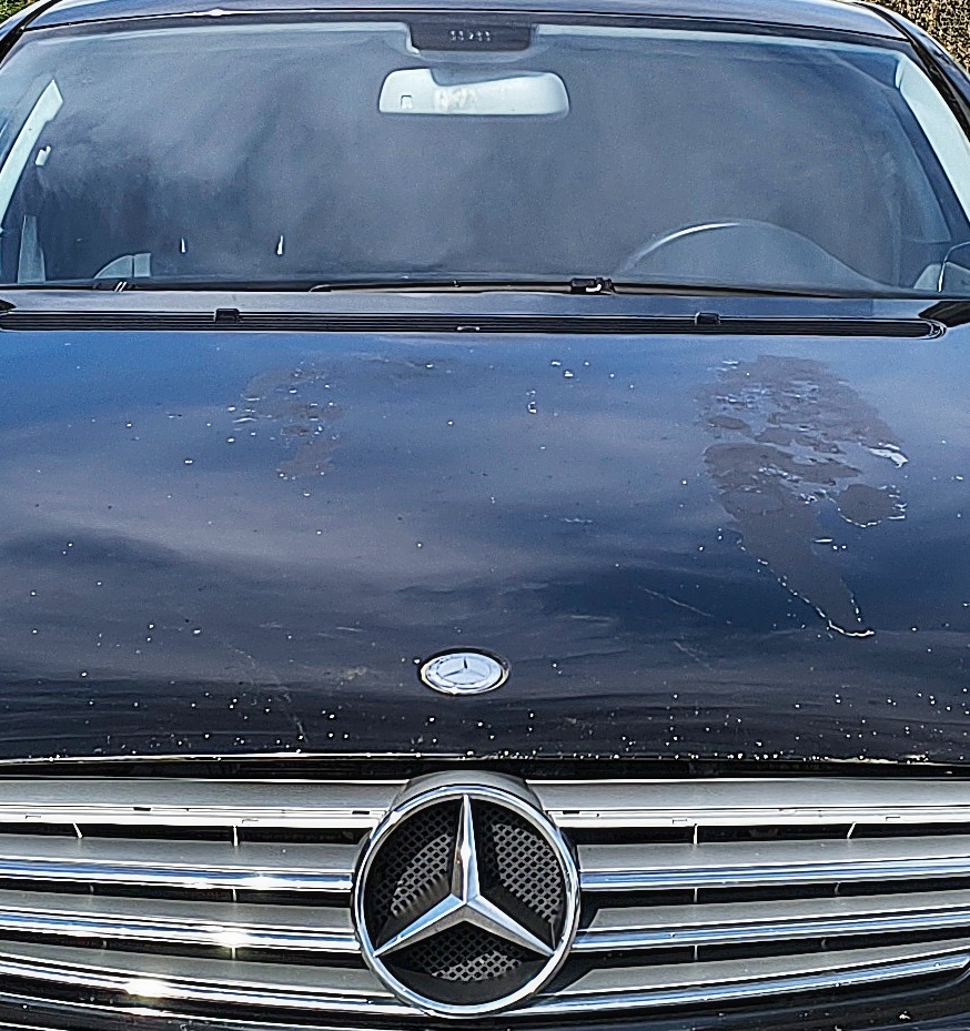 Mercedes CLS 320 CDI – W219 - 10