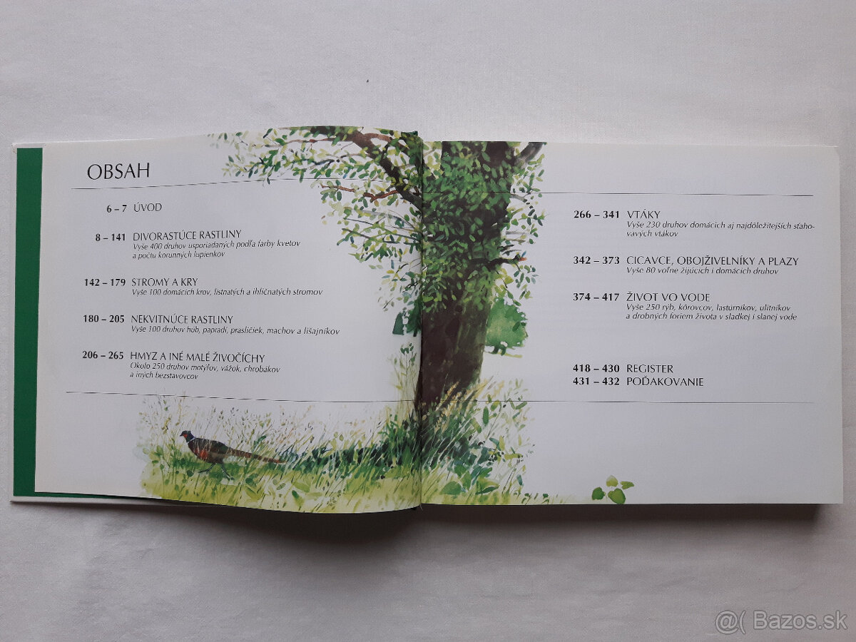 Čarovný svet, Naša príroda - 10