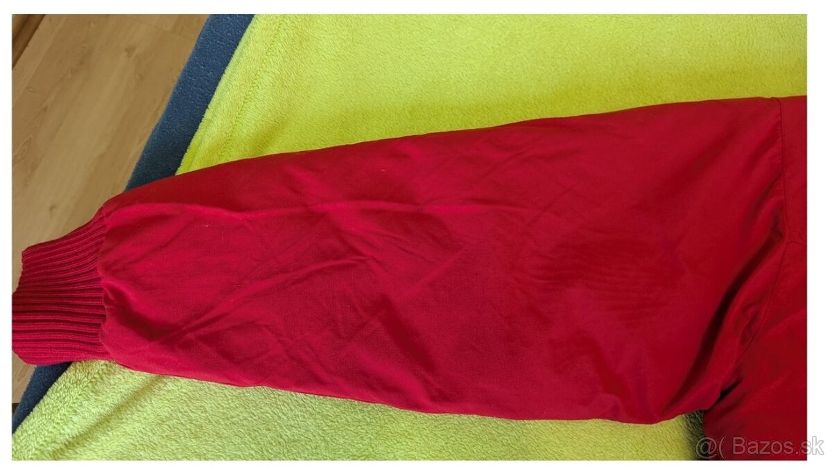 Pánska zimná bunda The North Face - 10