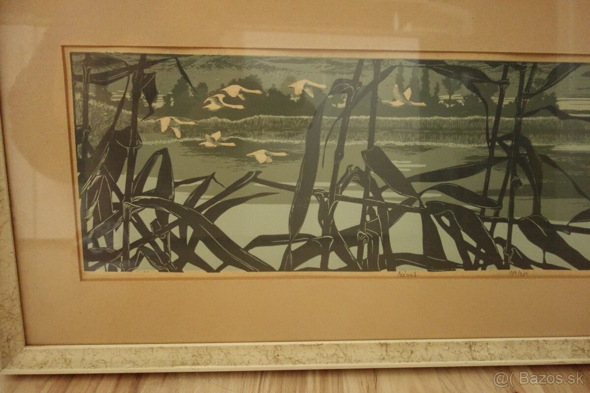 Obraz - Botanský - návrat - 10