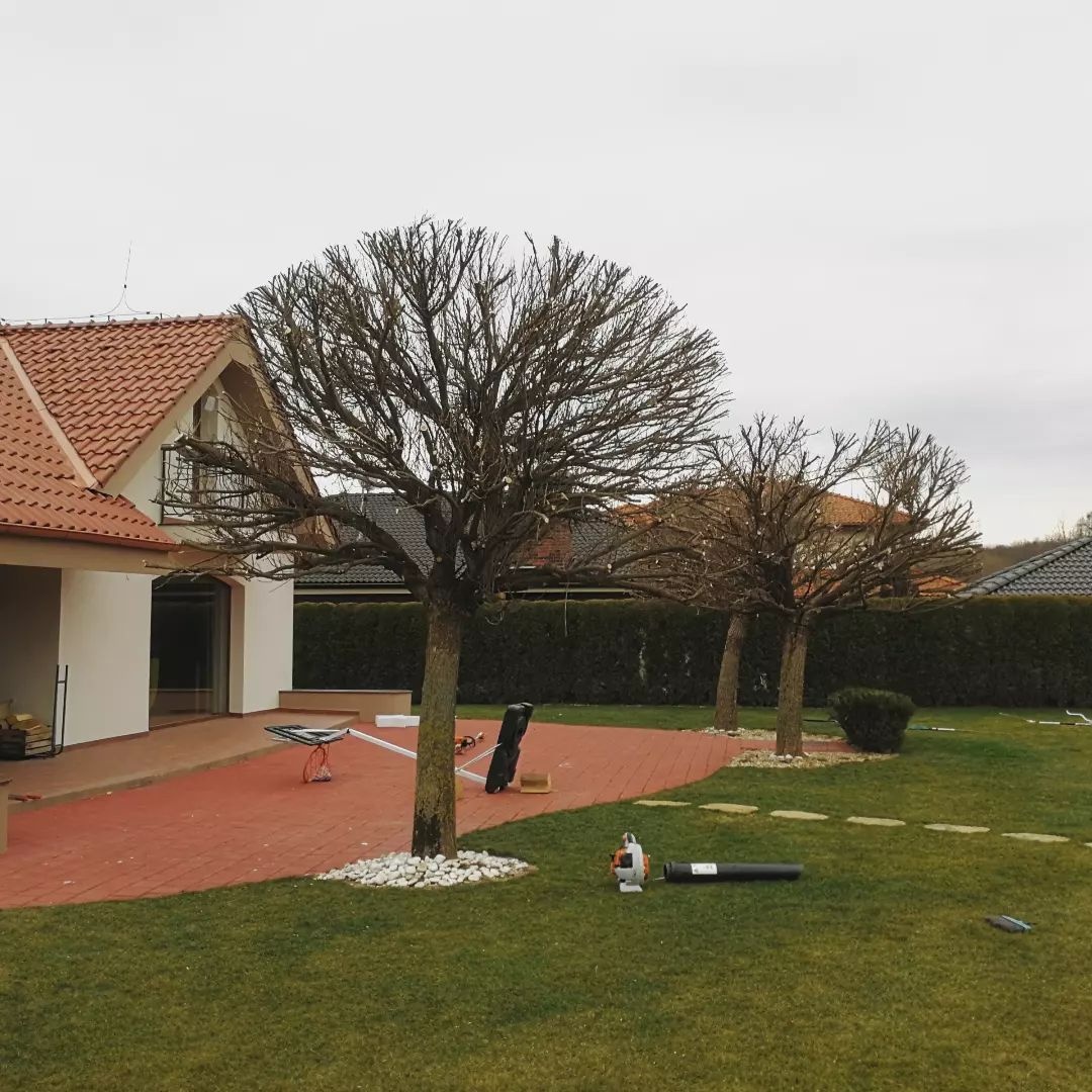 vertikutacia, rotavatorovanie, rylovanie, strihanie - 10