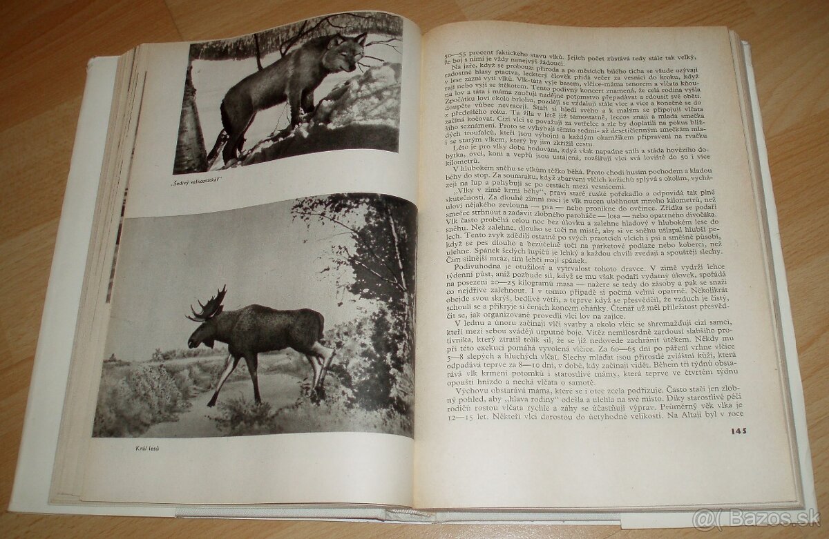 Revír bez hranic - 10