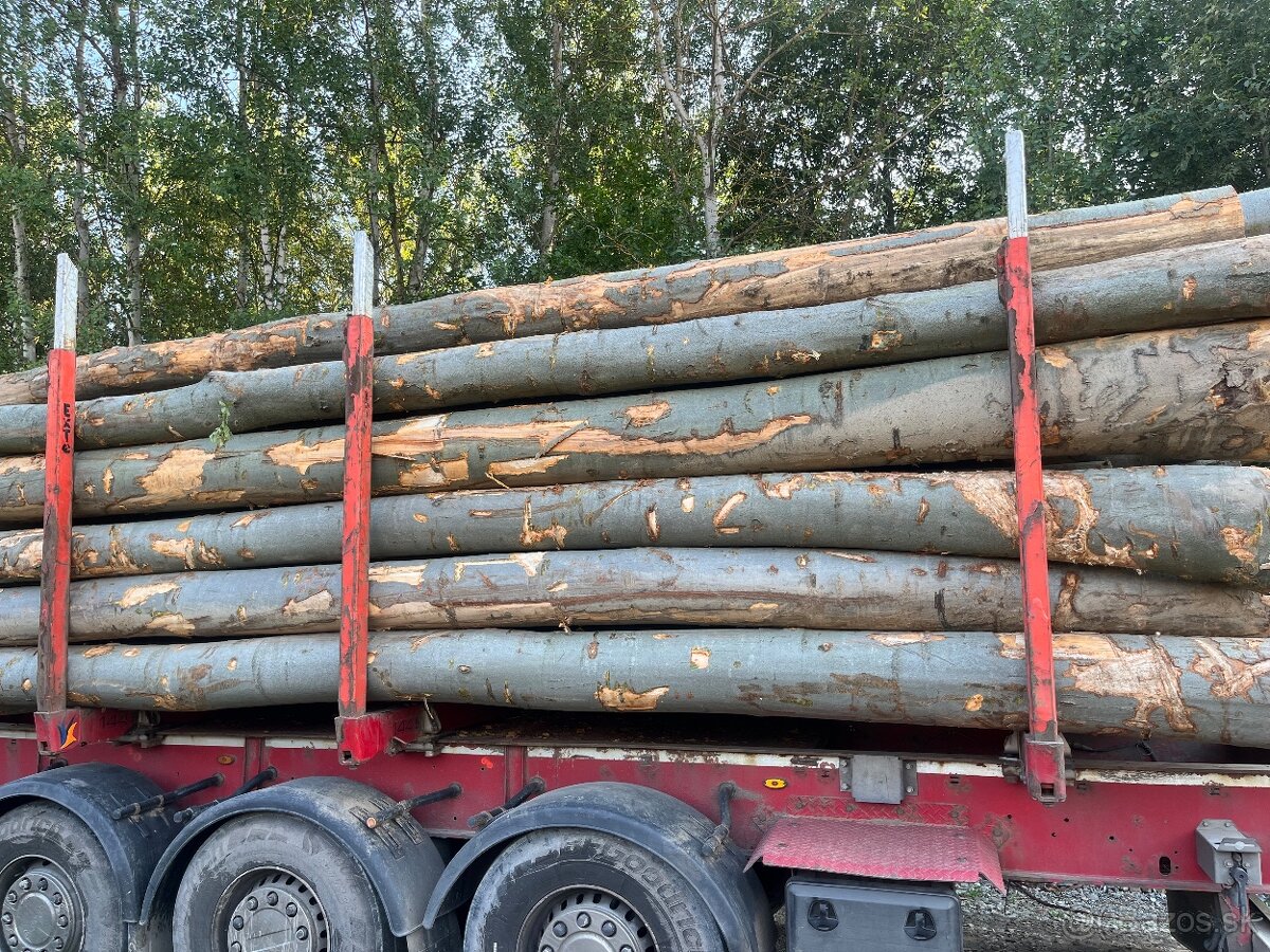 Palivove drevo buk - 10