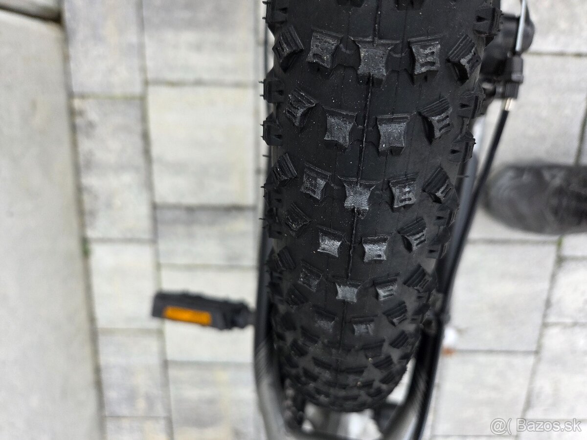 Scott Roxter 20 - 10