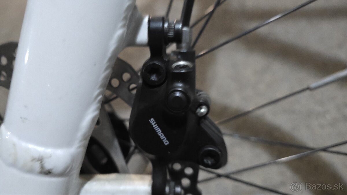 Cannondale Bad Boy - 10