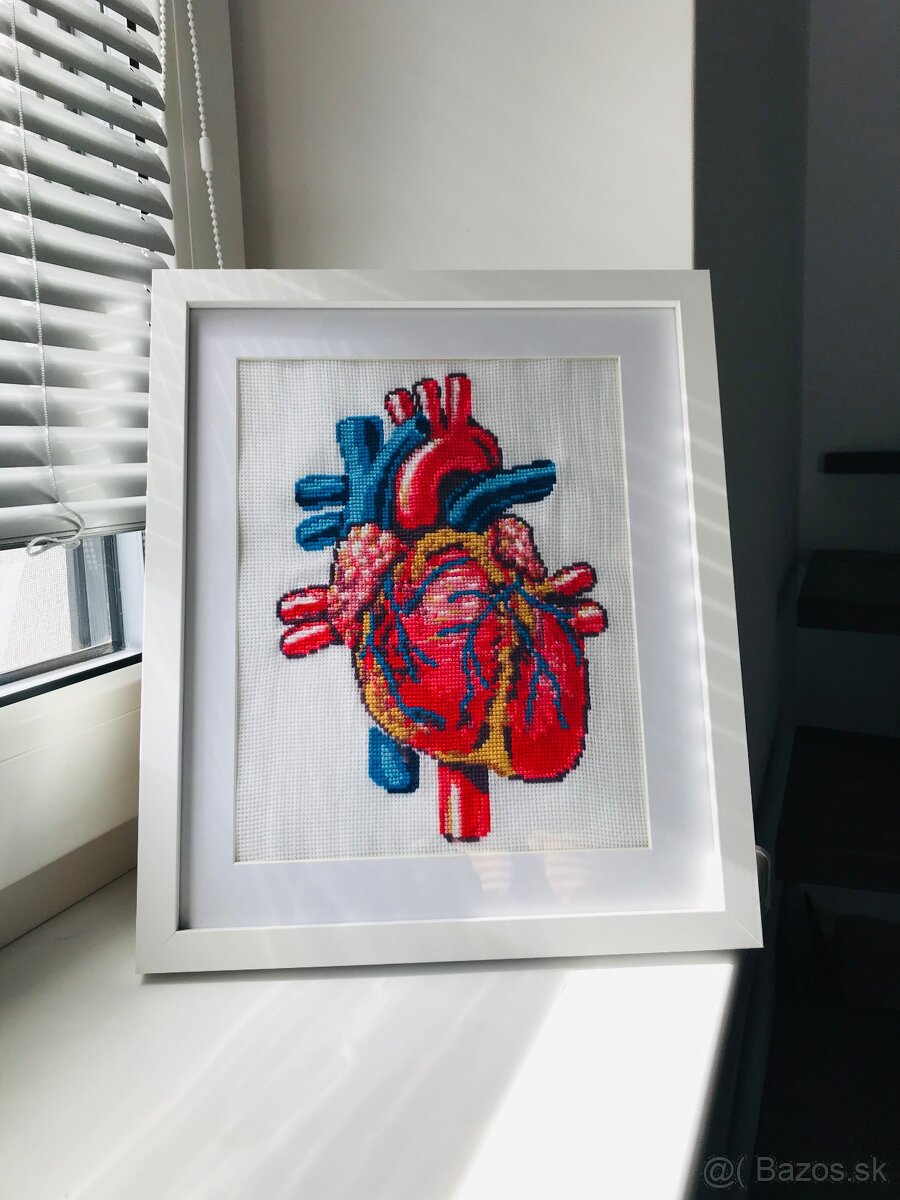 Krížiková výšivka/ obraz Anatomické srdce - 10