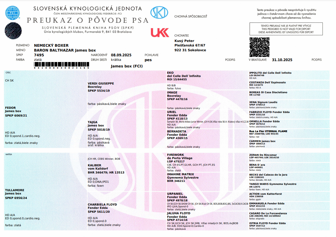 Nemecký boxer- psík s PP - 10