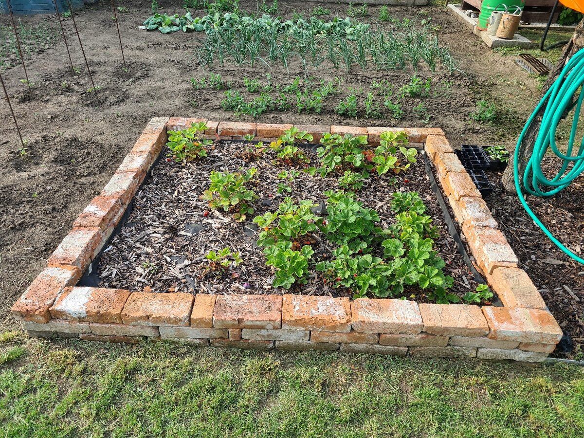 Záhrada v tichej časti Serede - 10